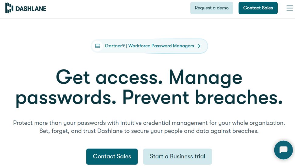 Dashlane password manager provides the best features for password security and a decent price.