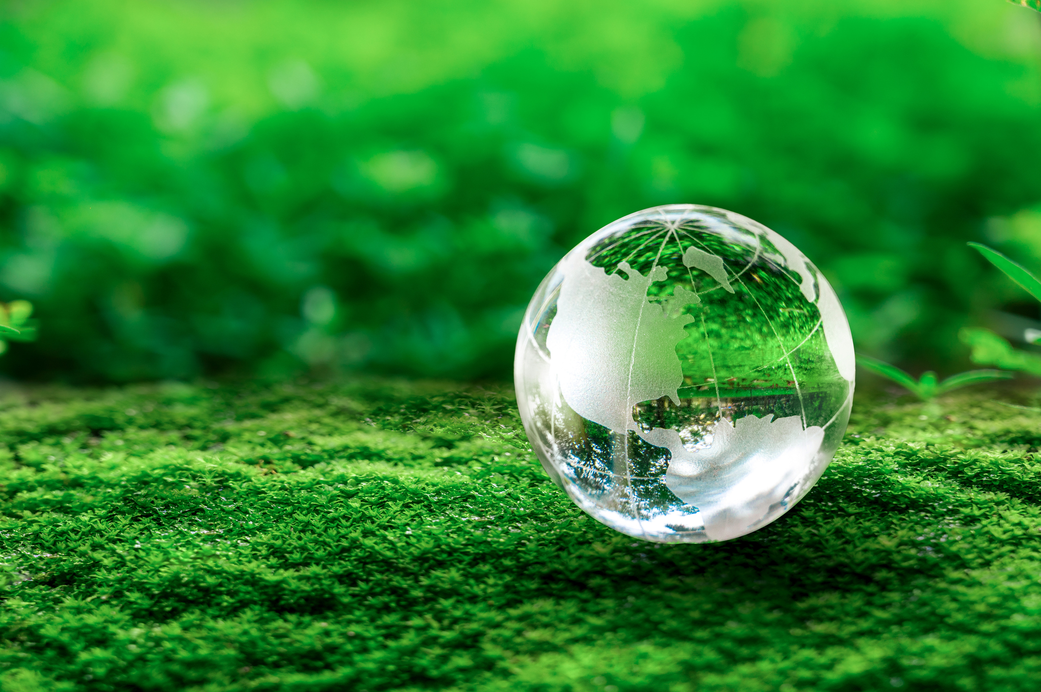 clear globe sitting on green moss to represent esg investing