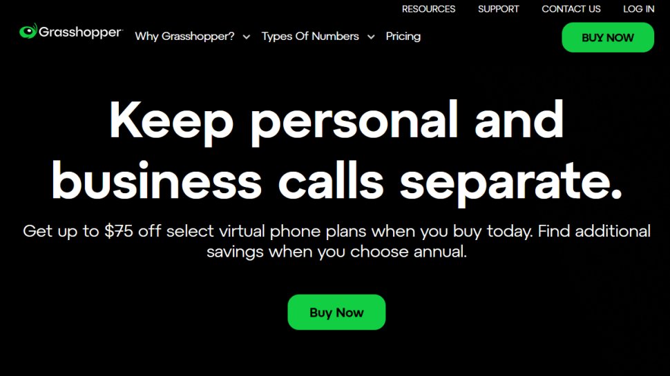 Grasshopper website screenshot (June 2025).