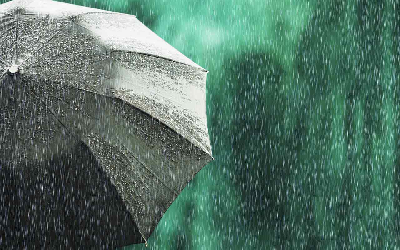 Black umbrella in the rain.