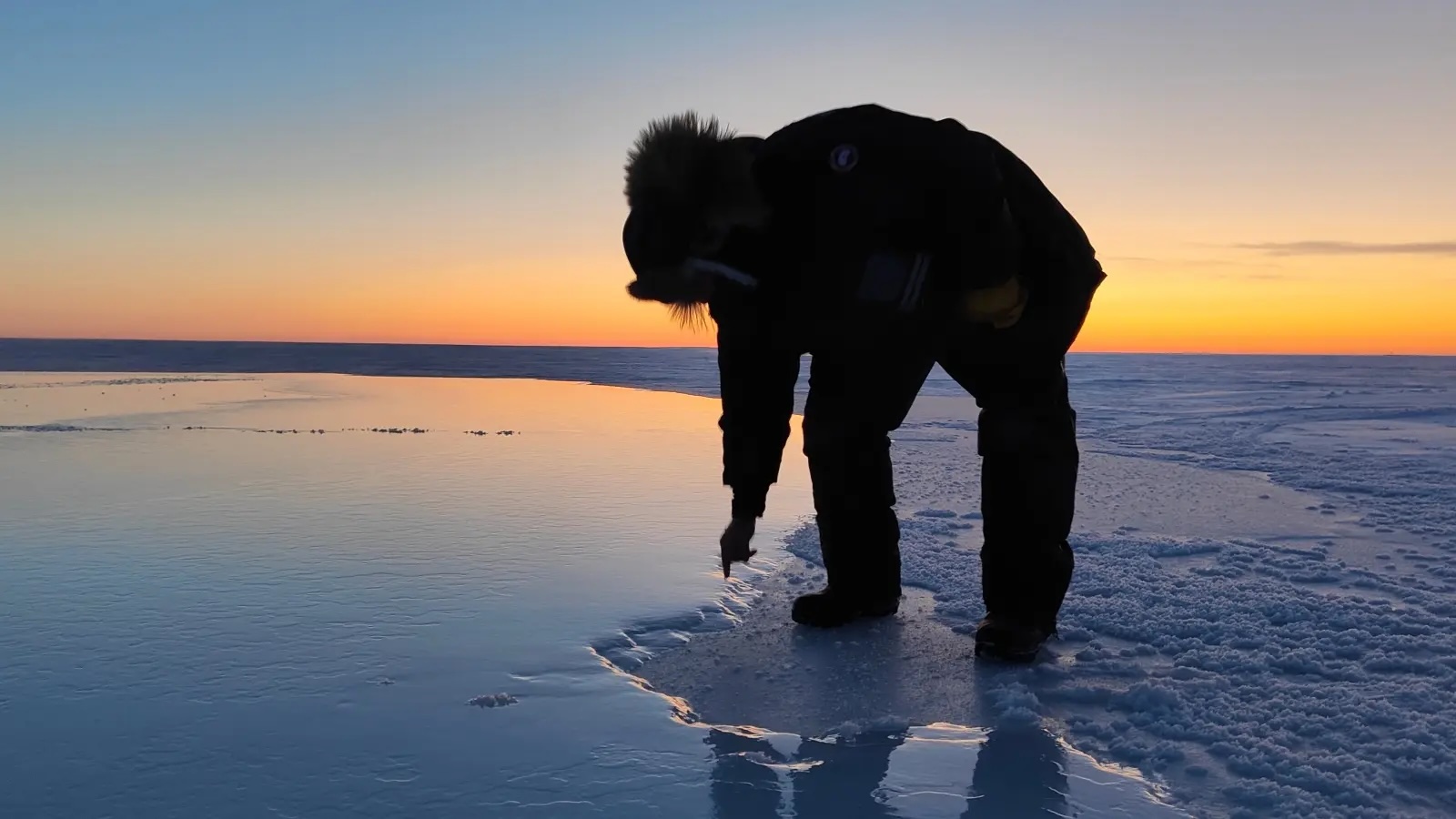 a researcher bends over and points to the boundary between a body of water and ice
