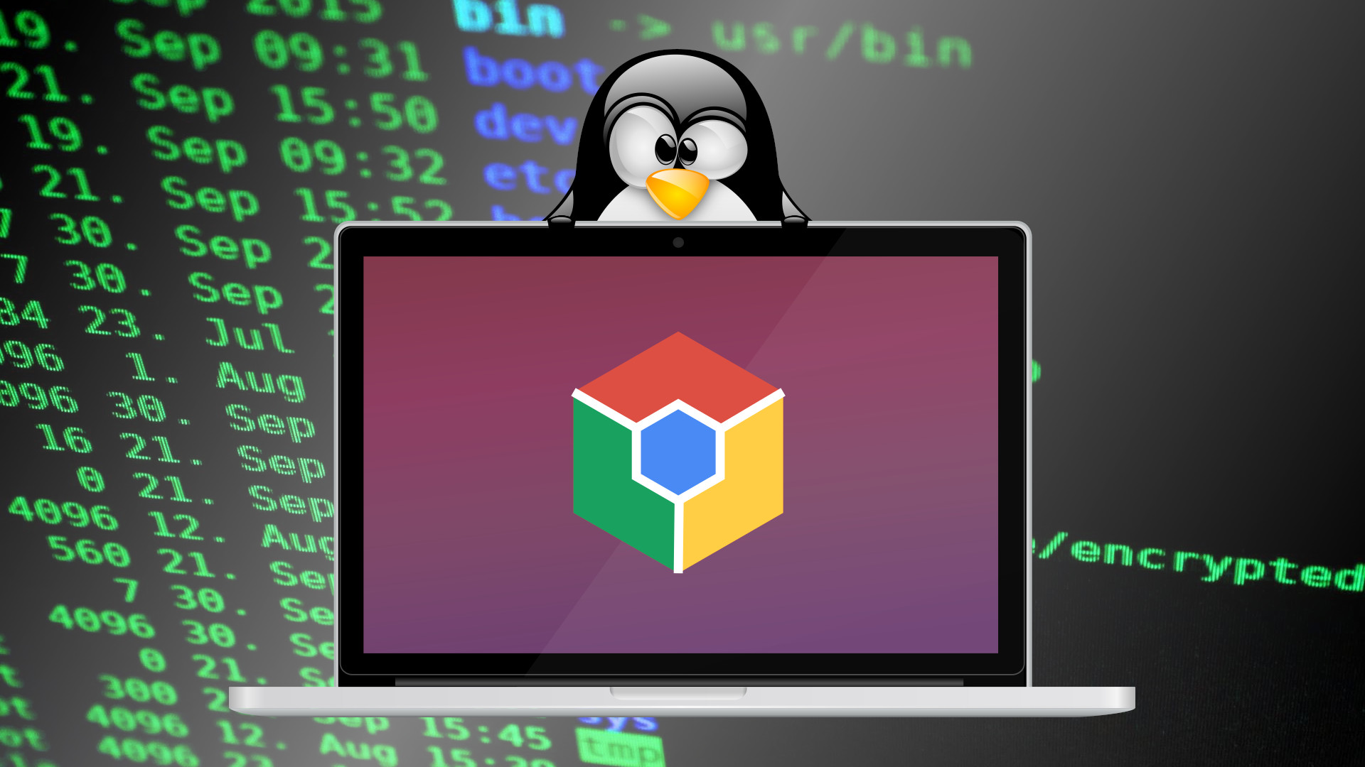 Tux hiding behind a Chromebook