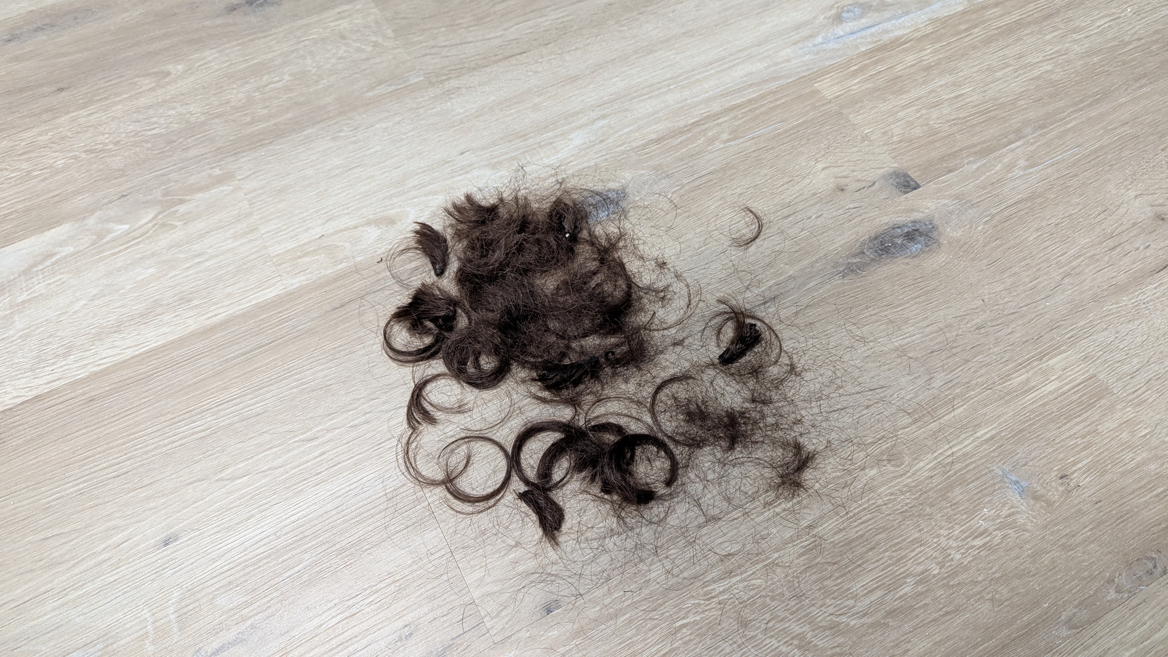 Chopped up hair on wooden floor