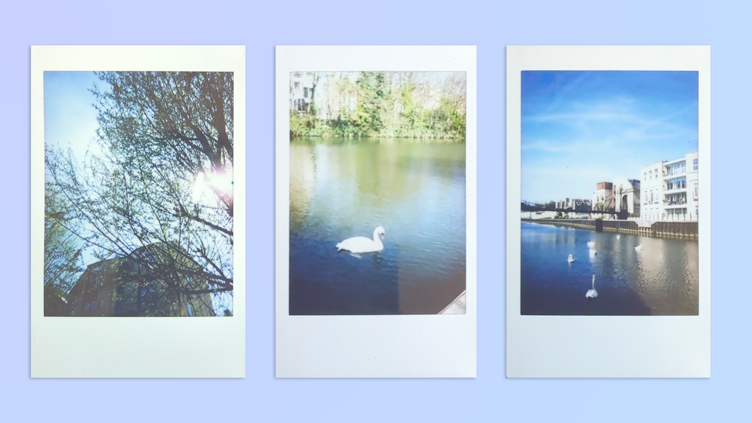 Photos taken on a Fujifilm Instax mini 41
