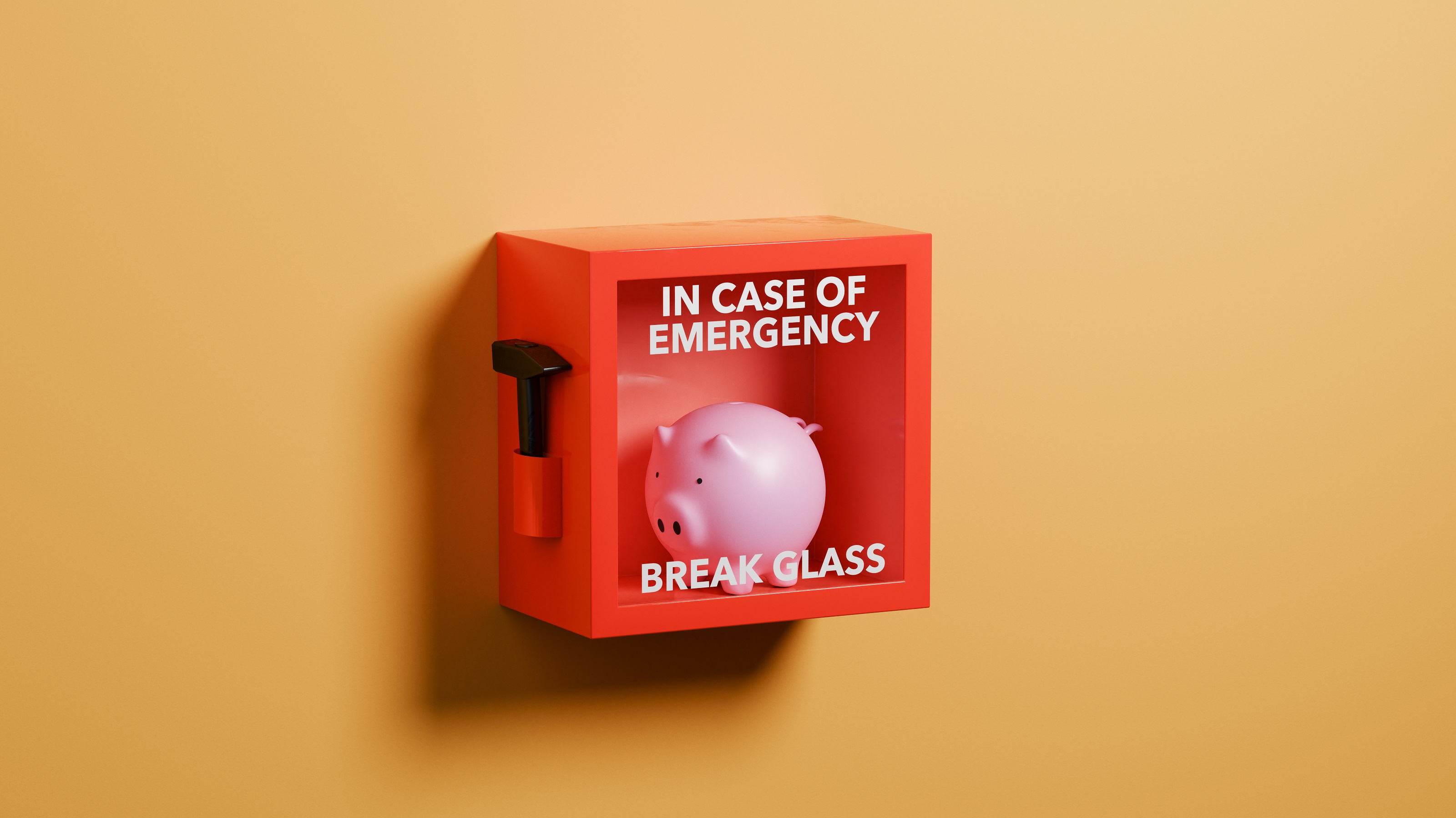A piggy bank inside a red box that says "in case of emergency break glass."